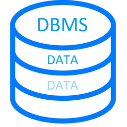 DBMS